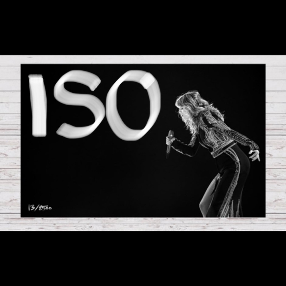 ISO Taylor Swift Dont Blame Me Rep Tour Litho